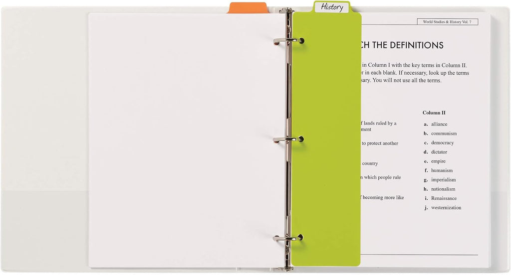 Snap-in Bookmark Plastic Dividers for 3 Ring Binders, 5-Tab Set, Multicolor with White Labels, 1 Set (24908)