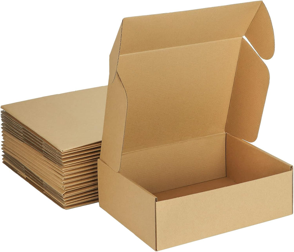 12x9x4 Inches Shipping Boxes Pack of 20, Small Corrugated Cardboard Box for Mailing Packing Literature Mailer