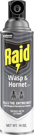 Wasp and Hornet Killer Spray, Kills the entire nest, Kills Paper Wasps, Yellow Jackets, Mud Daubers and more, 14 oz