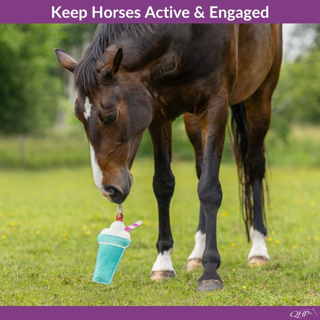 Horse Toy Snackcounter | Horse Stall Toy | Horse Enrichment Toy