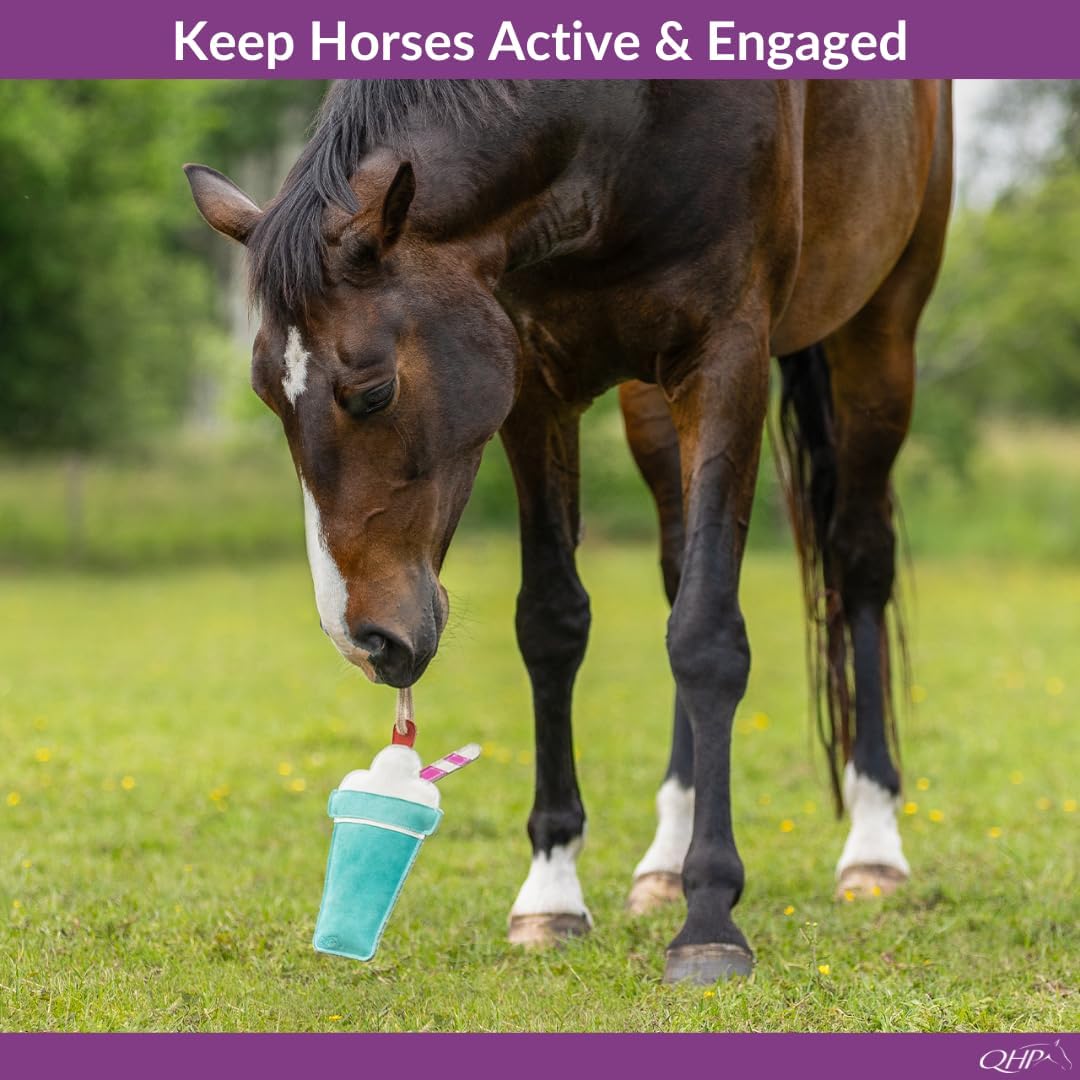 Horse Toy Snackcounter | Horse Stall Toy | Horse Enrichment Toy