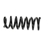 Ford AA8Z-5560-D, Coil Spring