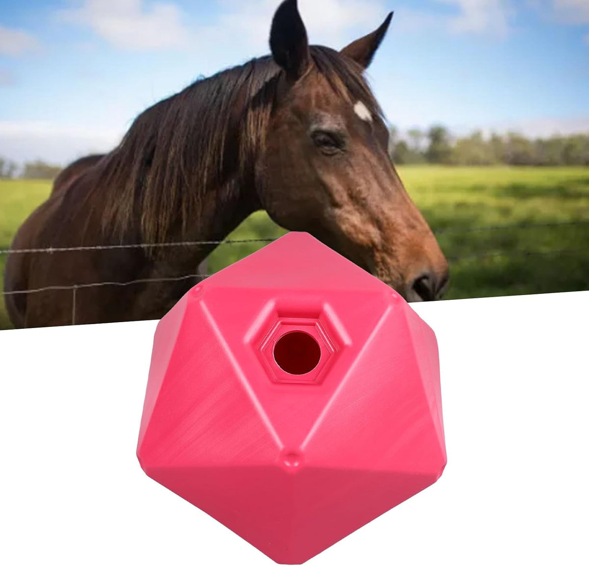 PPolygon Slow Feed Treat Ball for Horses