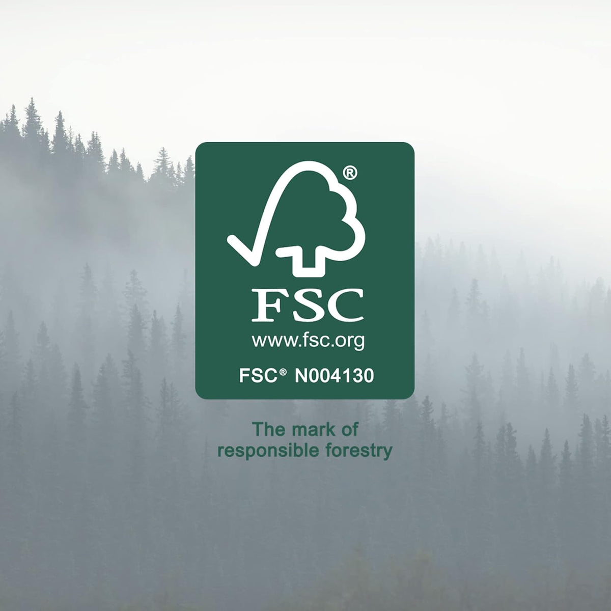 100% Bamboo Facial Tissues, 3-Ply, FSC Certified, 12 Pack, 60 Sheets Per Box, 720 Total