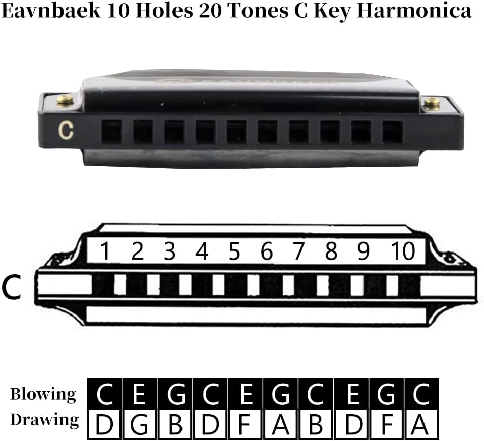 10 Holes 20 Tunes Blues Harmonica C Key Purple with Hard Case | Diatonic Harp Mouth Organ Durable Reeds and Metal