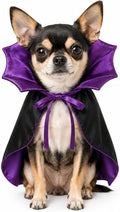 Small Dog Costume for Halloween, Vampire Cloak Dog Halloween Costume, Devil Cape Halloween Costumes for Small Dogs