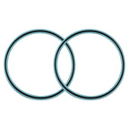 Hydraulic Boom Cylinder Seal Kit Replaces 7013187
