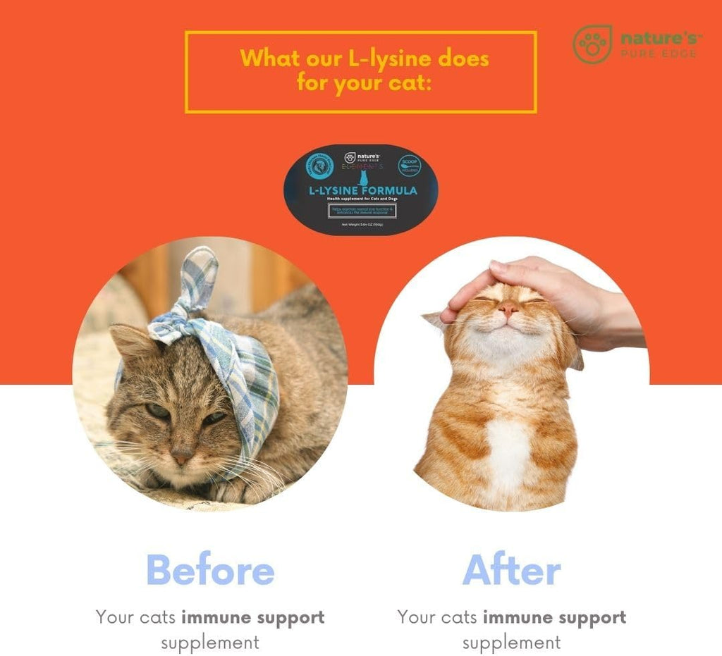 L-Lysine Powder for Cats and Kittens, Chicken Flavored Lysine Supplement for Cats and Kittens and Dogs to Support