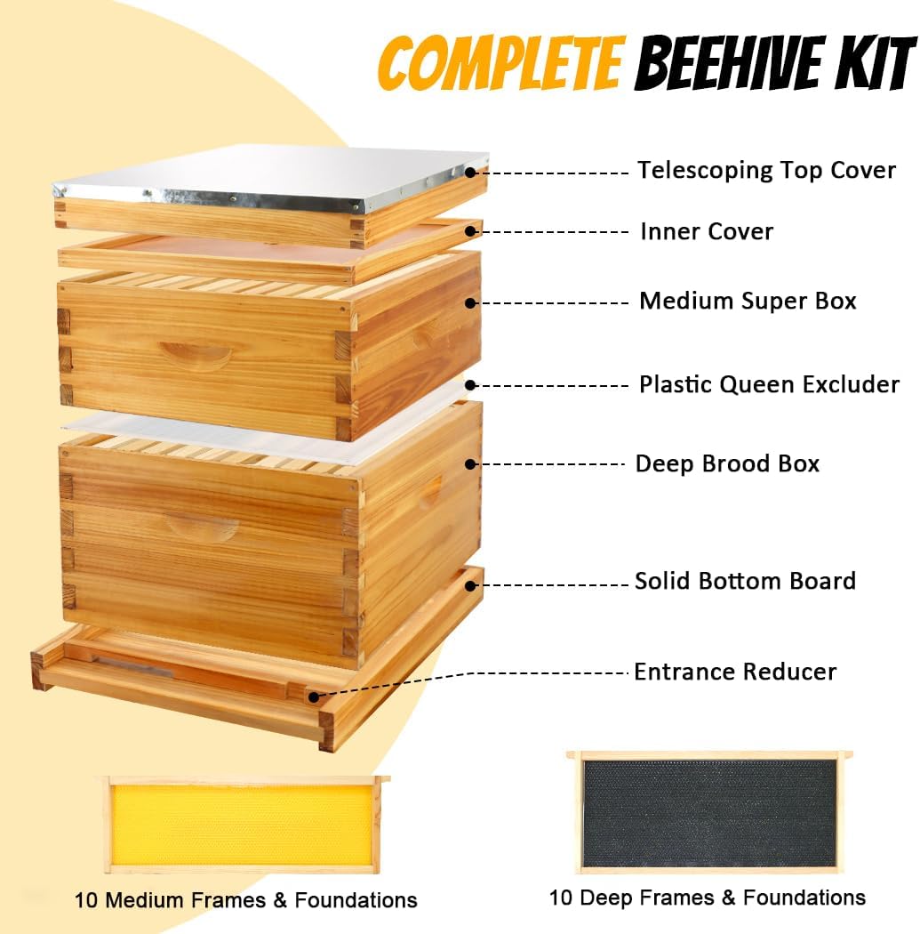 10-Frame Beehives Starter Kit – Complete Langstroth Hive with 1 Deep Brood Box & 1 Medium Super, Beeswax-Coated
