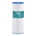 CS100 Pool Filter Replaces Jandy CS100, R0462200