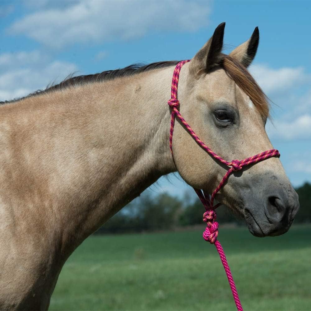 Weaver Leather Diamond Braid Rope Halter and Lead, Lavender/Mint/Gray