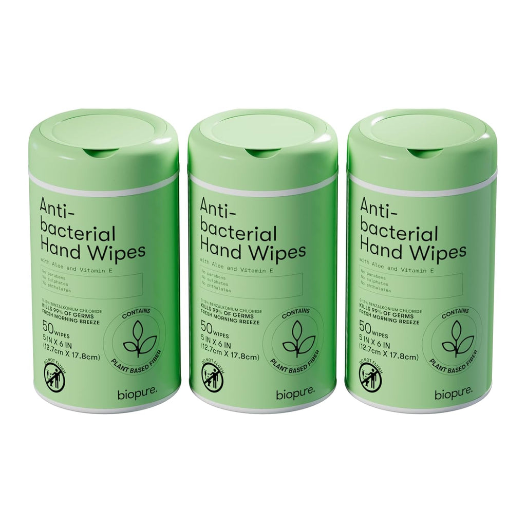 Antibacterial Hand Wipes Fresh Morning Breeze- Antibacterial Wipes with Aloe and Vitamin E Formula | 5"x7" Wet Wipes