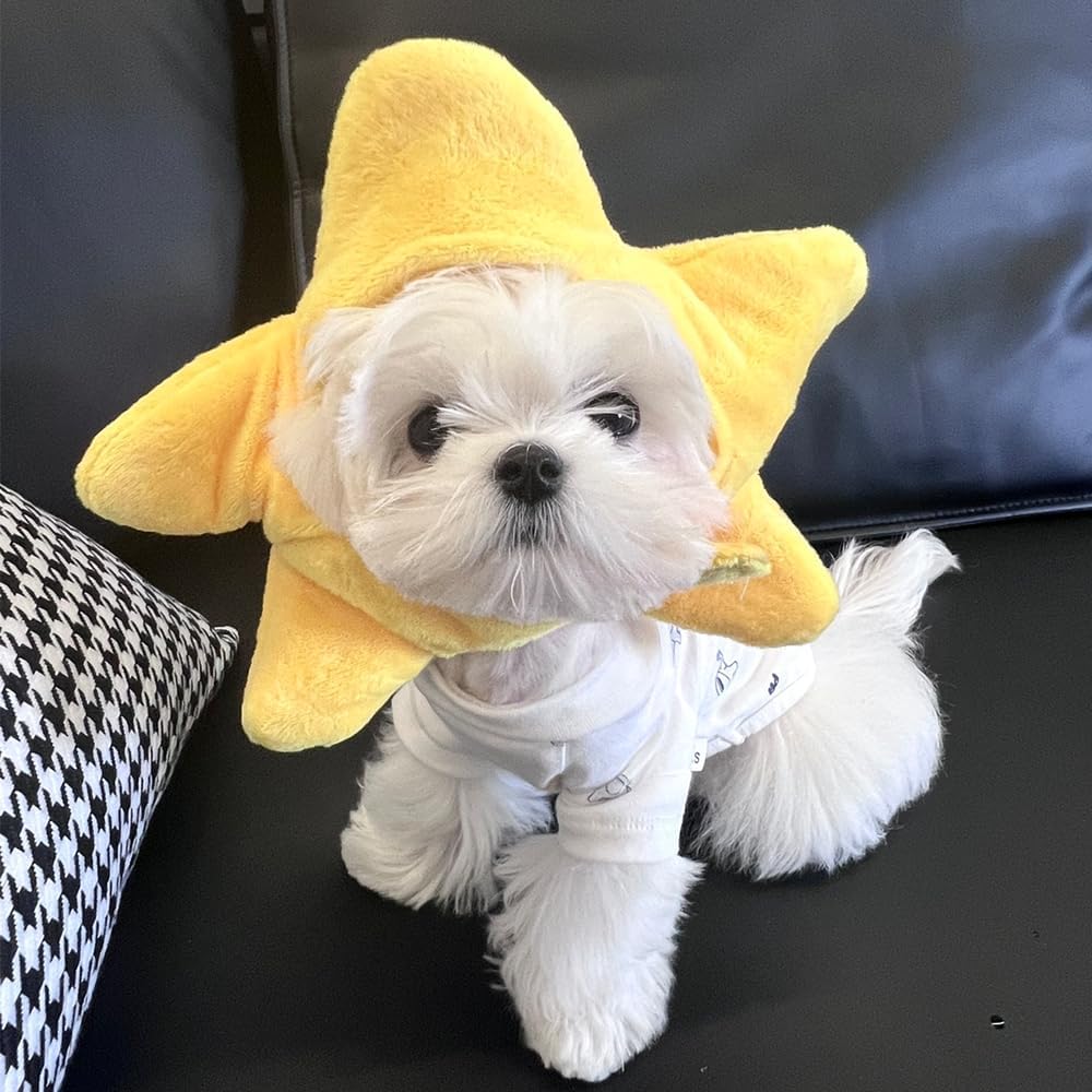 Funny Cat Hat Yellow Starfish Small Dogs Cap Soft Star Shaped Puppy Headgear Halloween Pet Costume Warm Head