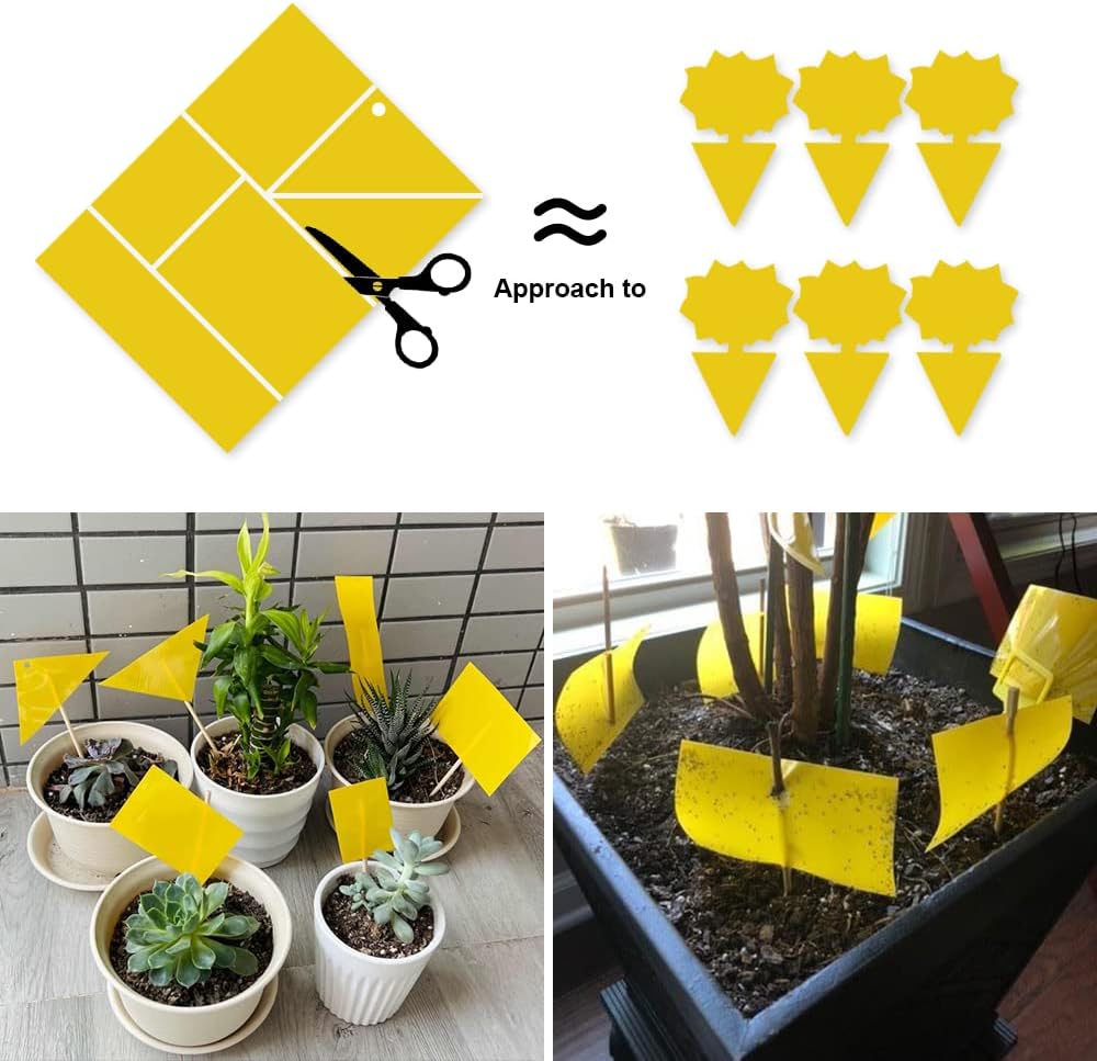 20-Pack Fruit Fly Trap, Yellow Sticky Gnat Traps, 6x8 in | For Indoor/Outdoor, Flying Plant Insect Killer, Fungus