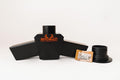 Nite Vault Timer Controled Gravity Feeder with adpater Funnel