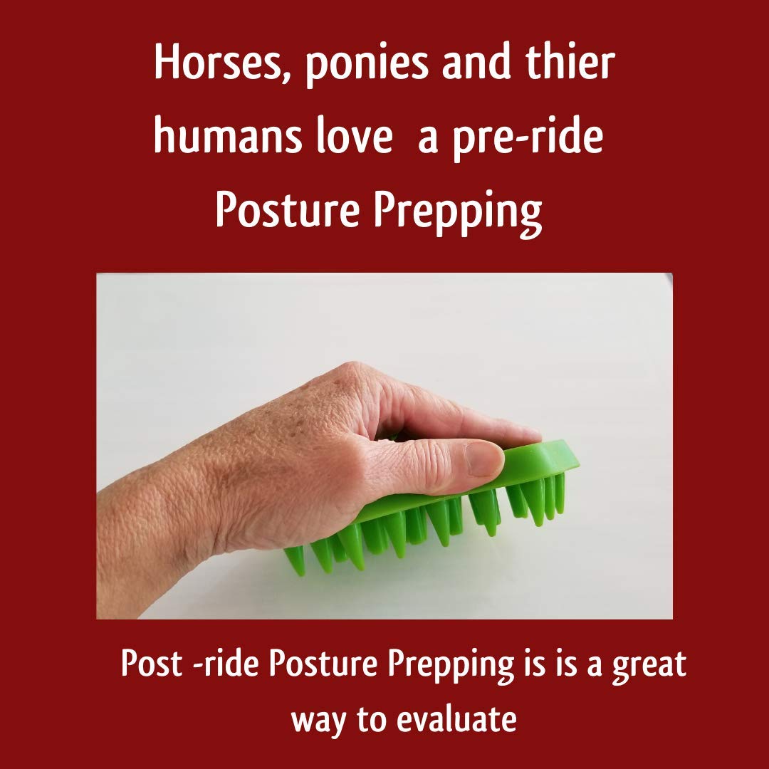 Cross Fiber Groomer Horse Pony Curry Comb