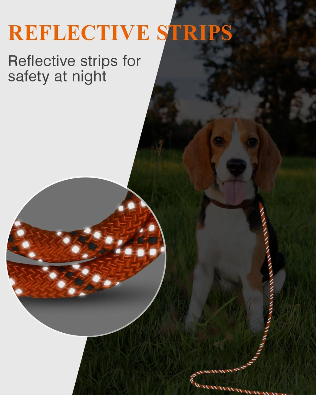 Long Dog Leash, 15FT 30FT 50FT 66FT, Training and Recall Leash with Comfortable Padded Handle for Large Medium Small
