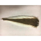 Teaser Tail