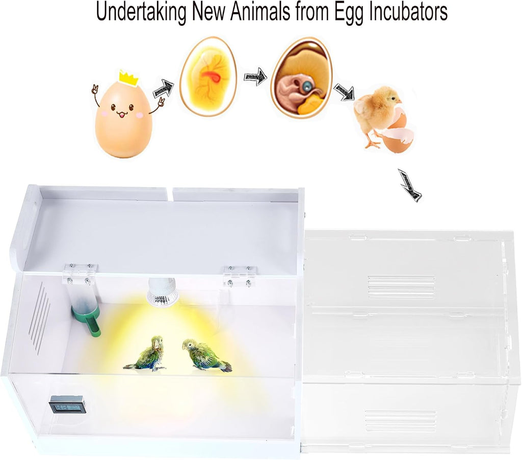 Iarge Scale Chick brooder Box Quail cage Egg Incubator Chicken brooder 20