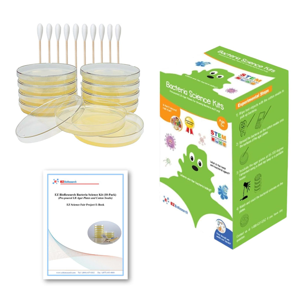 Bacteria Science Kit (IV) (Gift Pack): Prepoured LB-Agar Plates and Cotton Swabs. Exclusive Free Science Fair Project