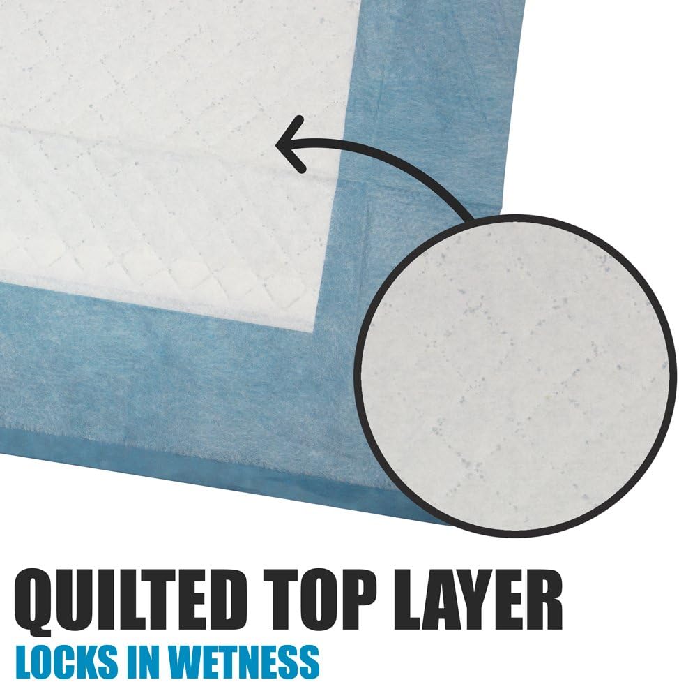 Puppy Pads Leak-Proof 100 Count 22"x 22" - Absorbent Pee Pads for Dogs with 6-Layer Design, Rapid Dry Sheet &