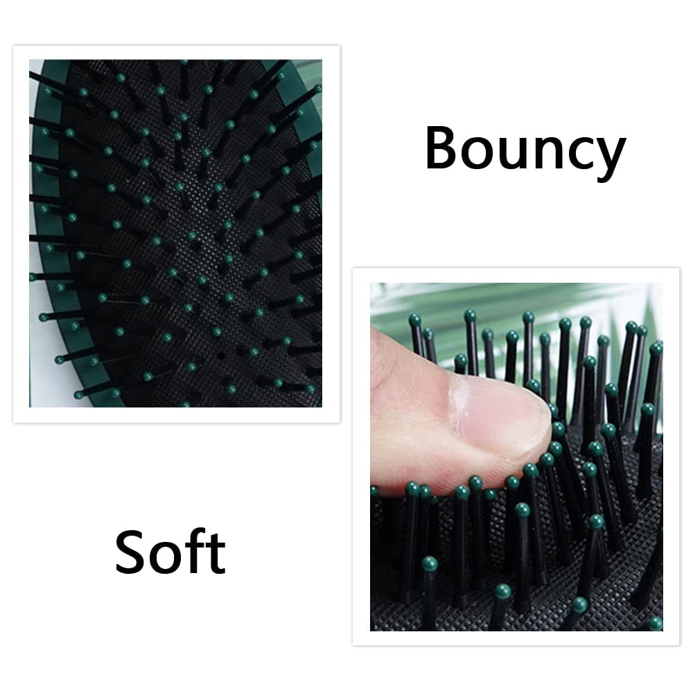 Anti-Static Hair Brush Set - Oval, Round, Vent, Detangling and Paddle Combs for Wet or Dry Hair - Massage and Shine