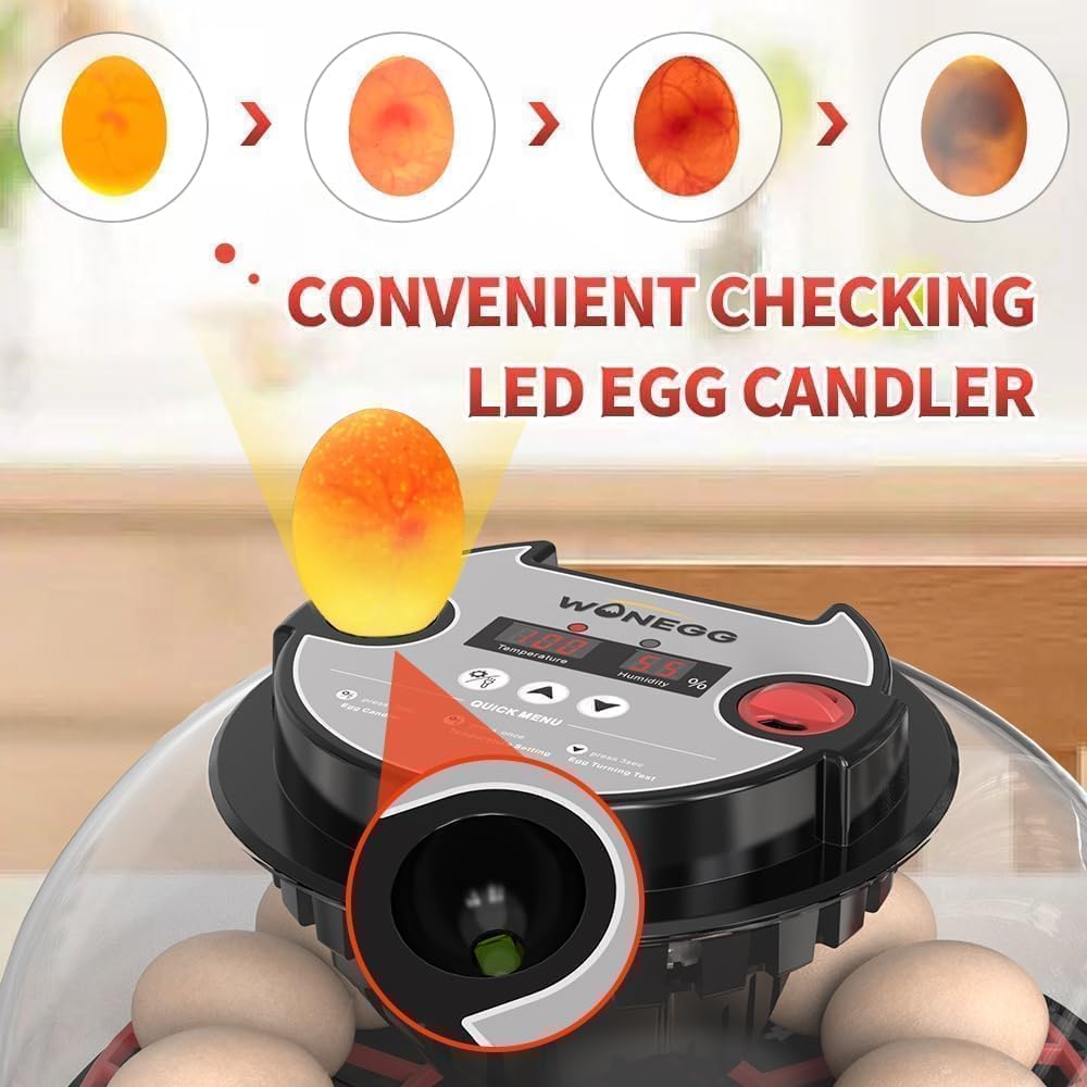 Nest II - 12 Egg Incubator for Beginners, Multi-Level Adaptive Humidity (Auto-Refill & Dual-Bottle) & Stable Temp