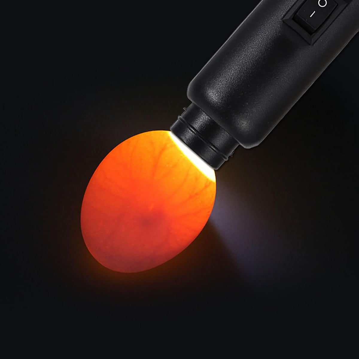 Egg Candler Tester,Cool Led Light Dual Power Egg Candler Tester Mains or Battery Powered (Egg Lighter+Battery Box)