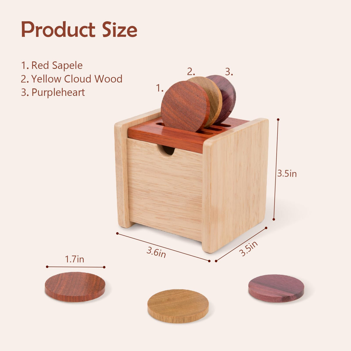 Wooden Coin Box with Lid Object Permanence 6-12 Months
