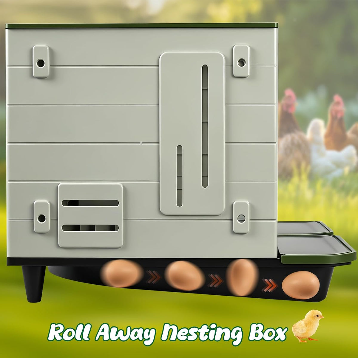 Roll Away Nesting Boxes for Chickens, 2 Compartment Chicken Nesting Box, Egg Collection Chicken Coop Nest Box (Large)