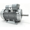 1 HP Electric Motor 110V Single Phase, 1720 RPM, 5/8" Keyed Shaft, High Efficiency AC Motor for Air Compressor, Pump, Fan and Industrial Equipment