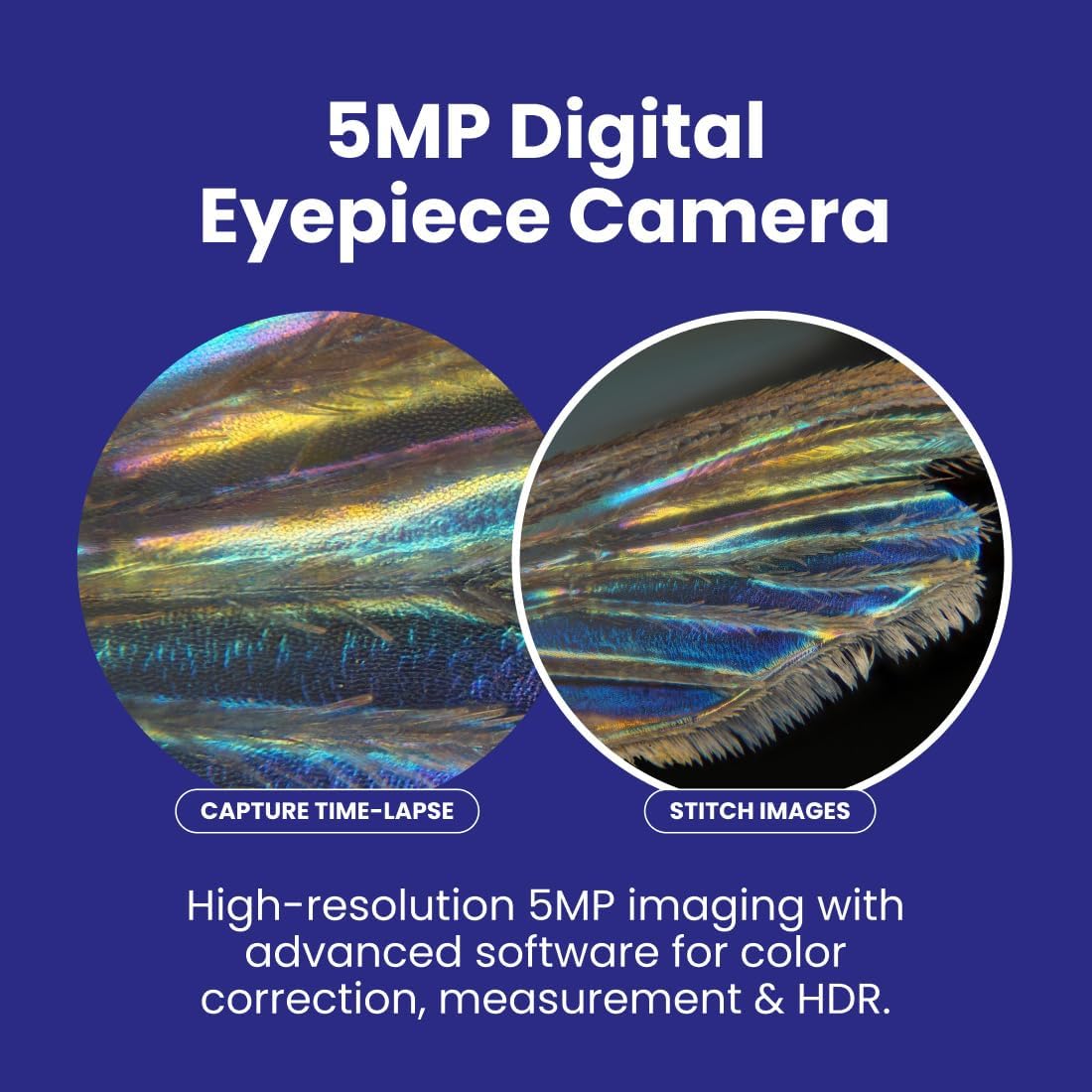 B120C-E5 Series & Professional LED Binocular Compound Microscope | 40X-2500X Magnification Range 5MP CMOS Sensor USB