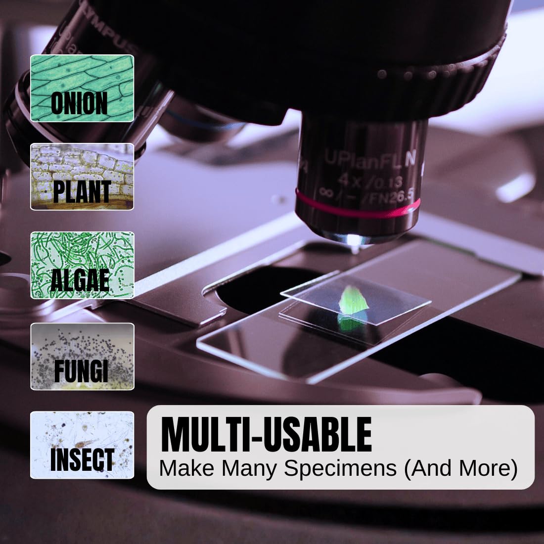 Microscope Slides and Covers, 100 Glass Slides + 200 Coverslips | Pre-Cleaned, Safe Ground Edges, 45°Corners, High