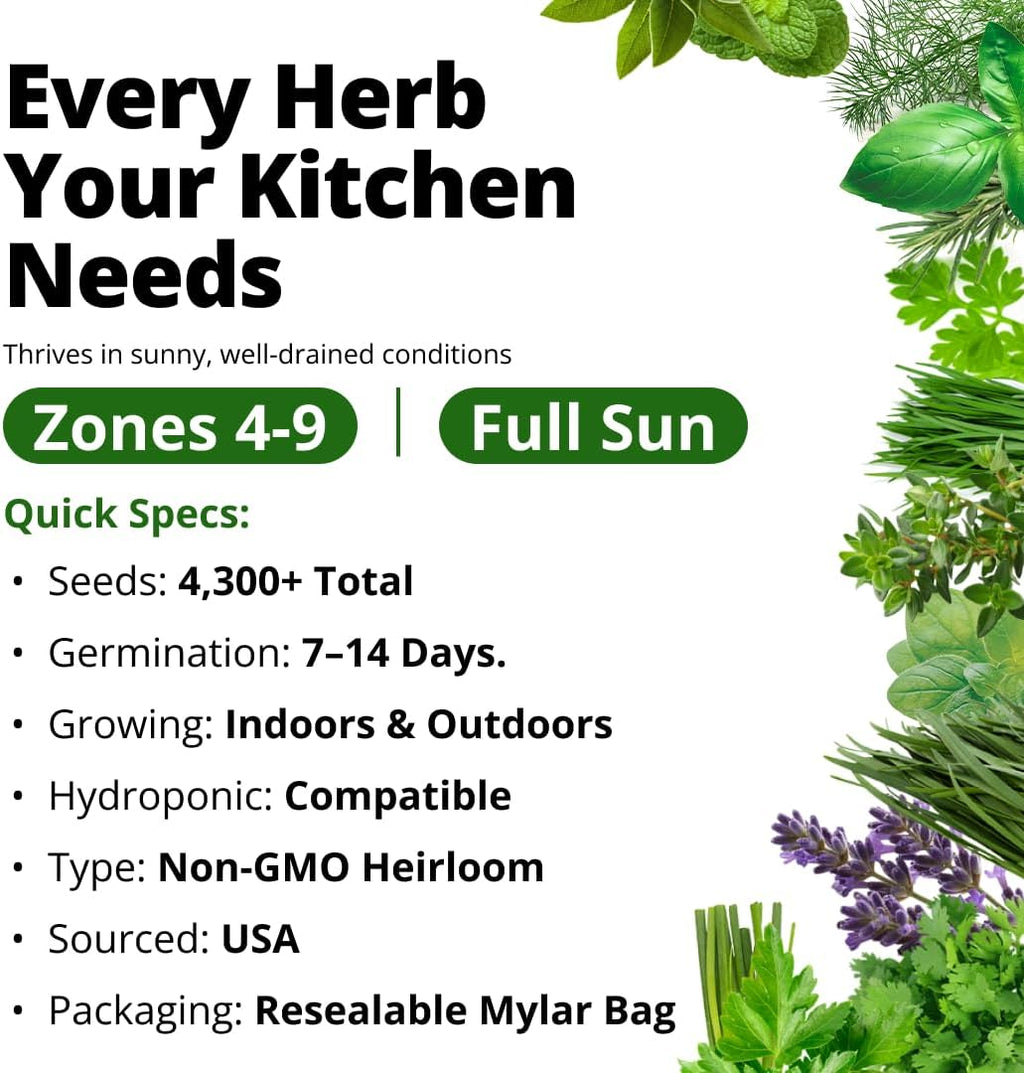 Herb Seeds for Planting 15-Pack Massive Seed Count 4,300+ Seeds Non-GMO Heirloom | Extra Large | Culinary Herb Kit