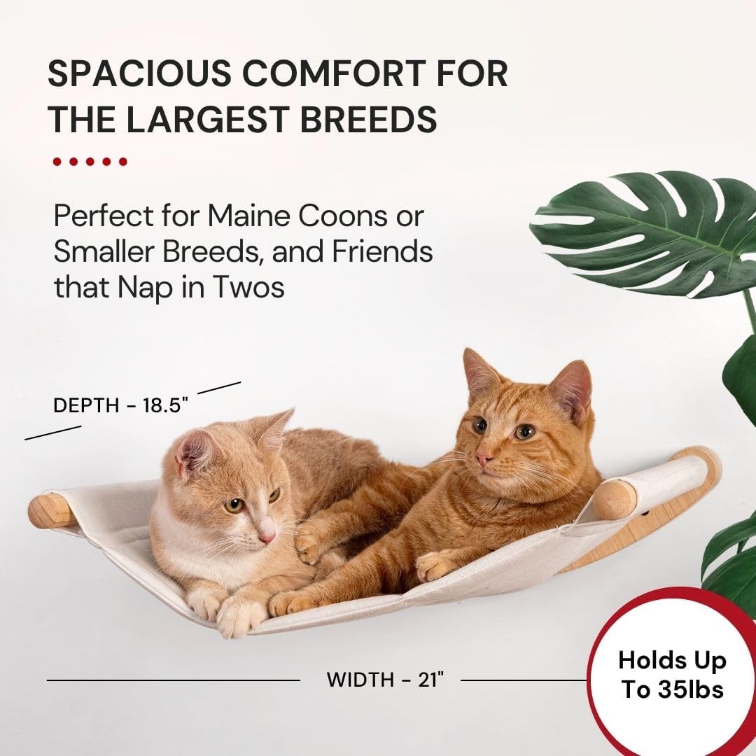 Cat Wall Hammock – Wall Mounted Cat Bed for Large Cats – Wood Perch Shelf, Cat Hammock for Wall, Holds Up to 35 lbs