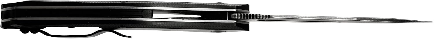Flourish Pocket Knife, Black, 3.5 Inch Drop Point Blade | EDC Knife with Assisted Opening, Reversible Pocketclip
