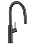 Kitchen Faucet with Pull Down Sprayer, Classic High Arc Black