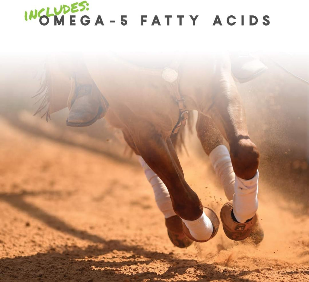 Cetyl-M Horse Joint Supplement with Omega-5, 5.1 lb