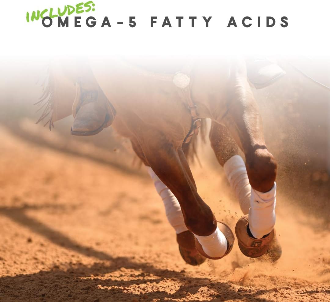 Cetyl-M Horse Joint Supplement with Omega-5, 5.1 lb