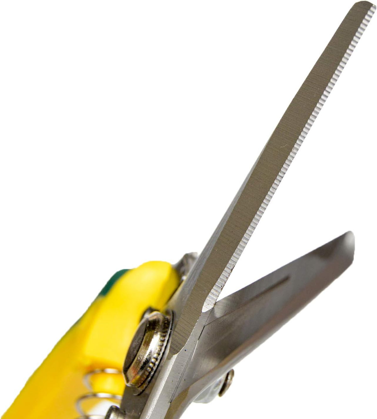 Goat and Sheep Hoof Trimmers Carbon Steel Trimming Shears Multi-Purpose Pruning Shears 2" Serrated Blade