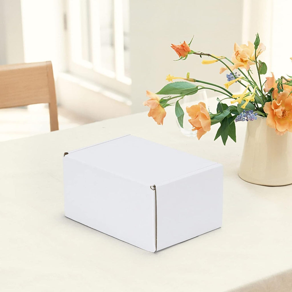 6x4x3 inches Shipping Boxes Set of 50, White Corrugated Cardboard Box Literature Mailer