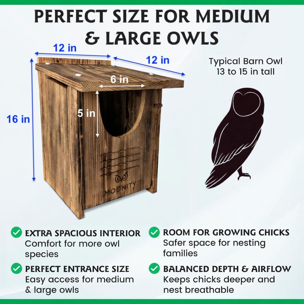 Large Fire-Treated Cedar Owl House – 16" x 12" x 12" All-Season Nesting Box for Barn & Screech – Durable