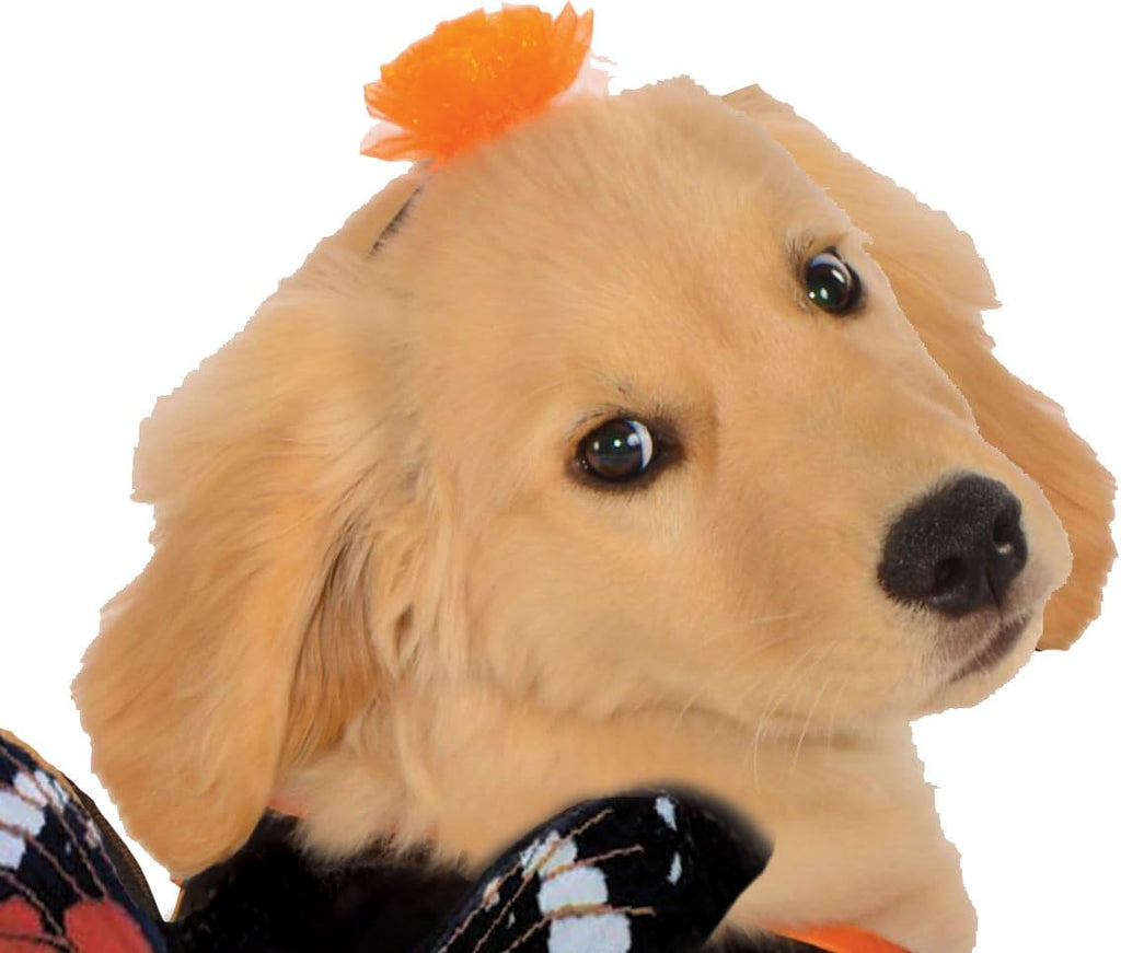 Monarch Butterfly Pet Costume for Dogs or Cats, XL