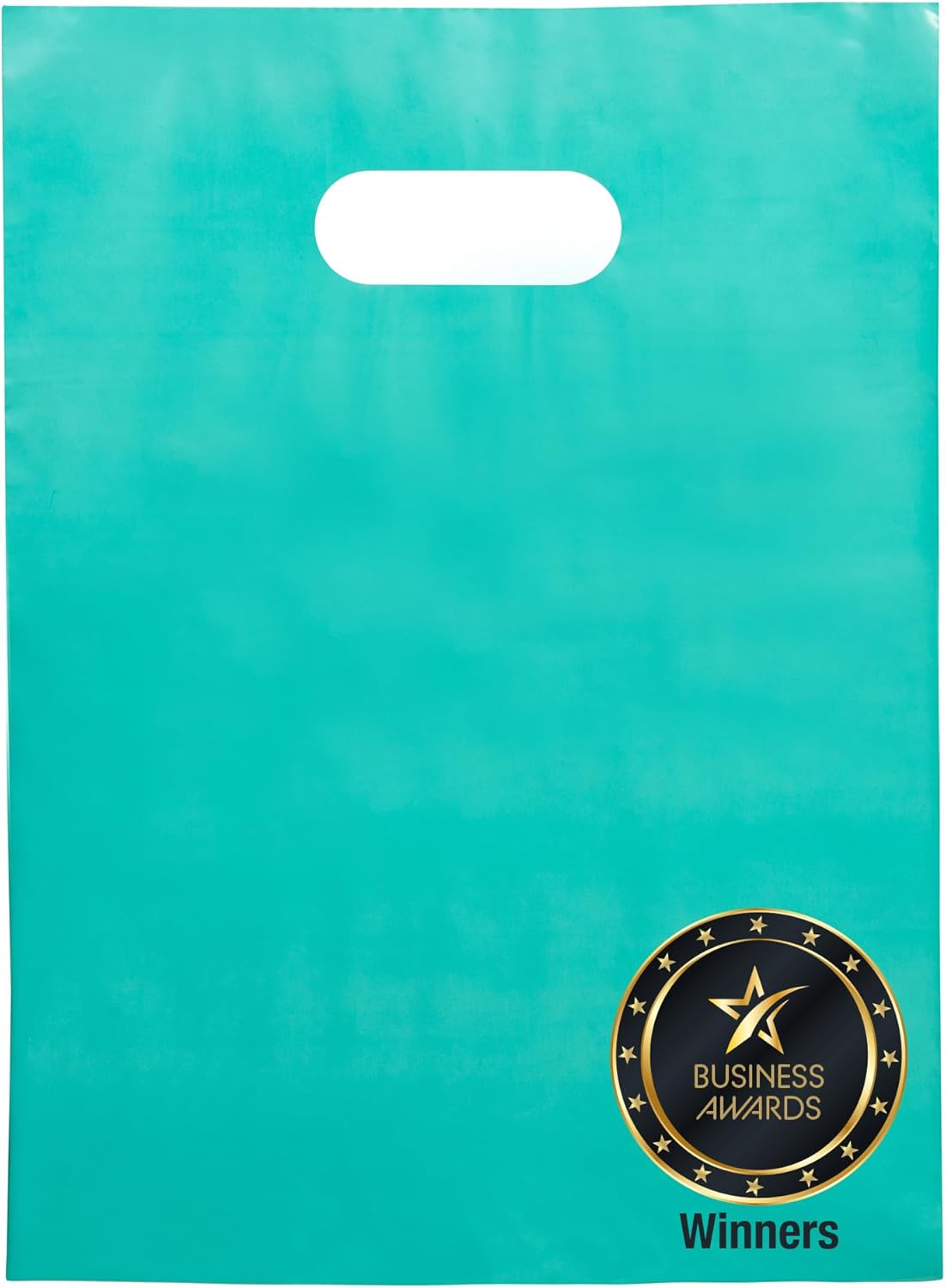 100 Teal Plastic Bags With Handles 9x12 Merchandise Bags