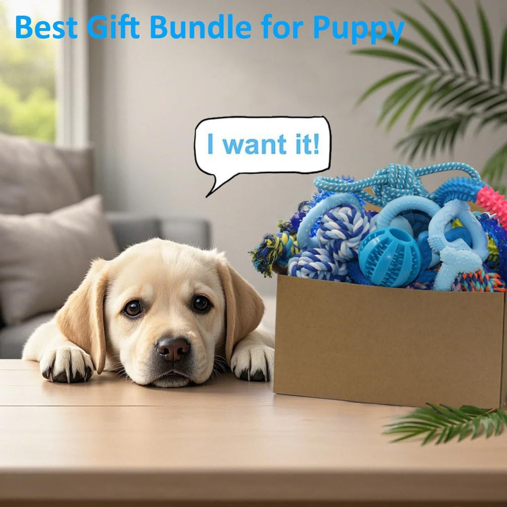 20 Pack Puppy Chew Toys - Blue Dog Teething Toys for Puppies, Puppy Teething Rings and Ropes, Rubber Toy Bundle for