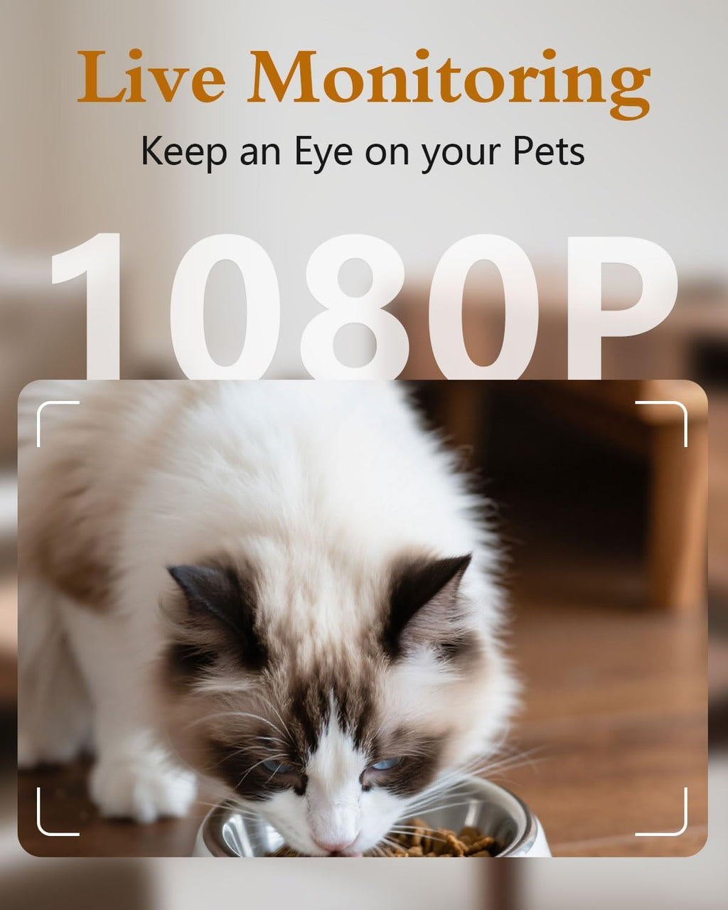 Automatic Cat Feeder with Camera - HD 1080P Video with Night Vision