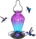 Glass Hummingbird Feeder for Outdoors Hanging, 25Oz Humming Bird Nectar Feeder, Perch, 5 Flower Feeding Ports, Leak