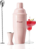 Cocktail Shaker Set, Stainless Steel Martini Shaker with Bartender Strainer, Measuring Jigger, Bar Mixing Spoon