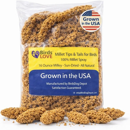 Millet Tips & Tails for Birds – Premium Spray Millet Treat, Grown in the USA – Natural & Healthy Bird Food for