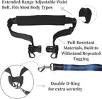 Hands Free Dog Leash with Running Belt for Walking, Running and Hiking